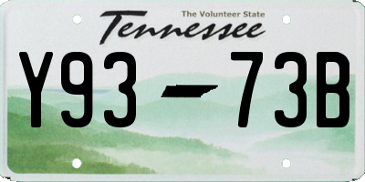 TN license plate Y9373B