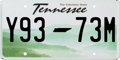 TN license plate Y9373M