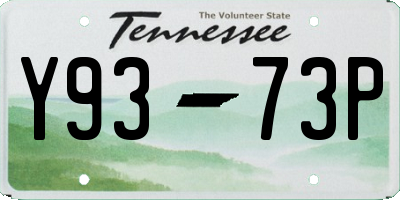 TN license plate Y9373P