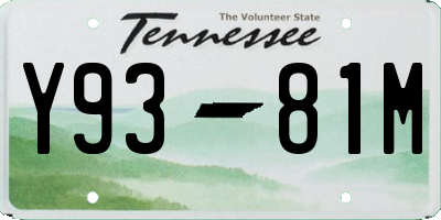 TN license plate Y9381M