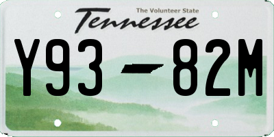 TN license plate Y9382M