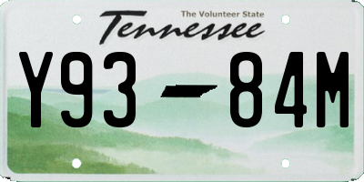 TN license plate Y9384M
