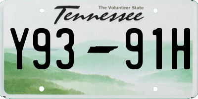 TN license plate Y9391H