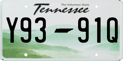TN license plate Y9391Q
