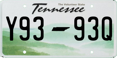 TN license plate Y9393Q