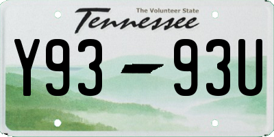 TN license plate Y9393U