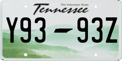 TN license plate Y9393Z