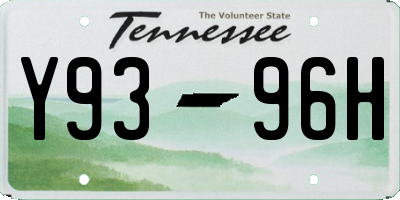 TN license plate Y9396H