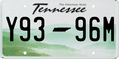 TN license plate Y9396M
