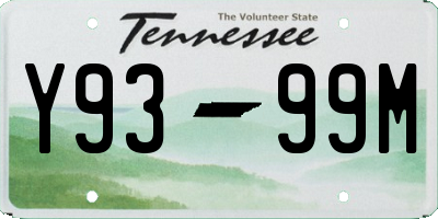TN license plate Y9399M