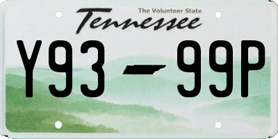 TN license plate Y9399P