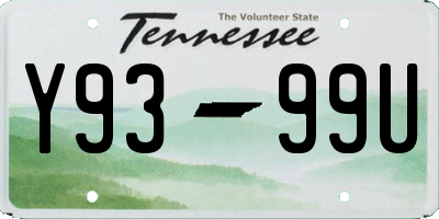 TN license plate Y9399U