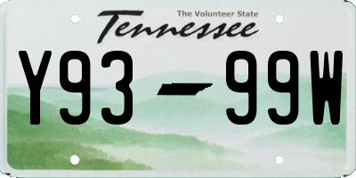 TN license plate Y9399W