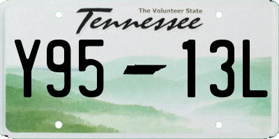 TN license plate Y9513L