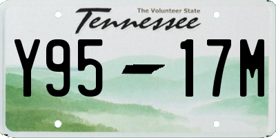 TN license plate Y9517M