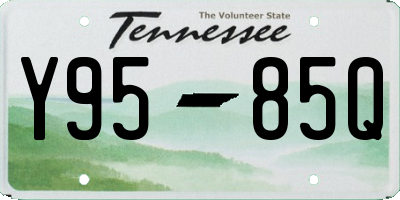 TN license plate Y9585Q