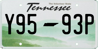 TN license plate Y9593P