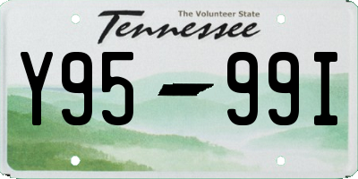 TN license plate Y9599I