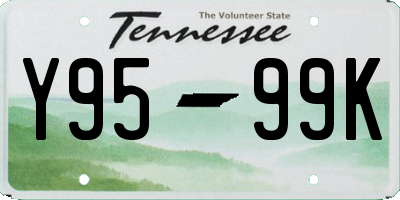 TN license plate Y9599K