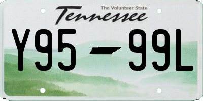 TN license plate Y9599L