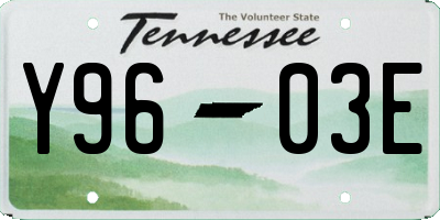 TN license plate Y9603E