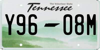 TN license plate Y9608M