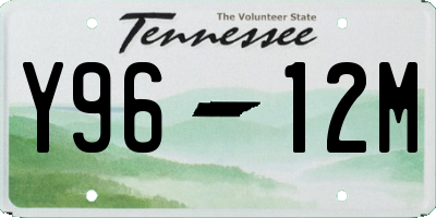 TN license plate Y9612M