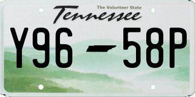 TN license plate Y9658P