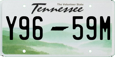 TN license plate Y9659M