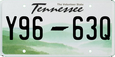 TN license plate Y9663Q