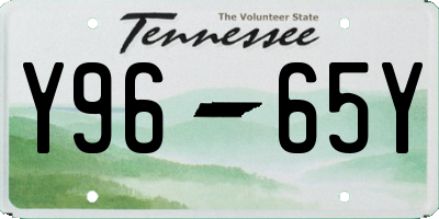 TN license plate Y9665Y