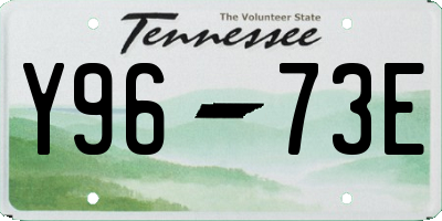 TN license plate Y9673E
