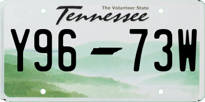 TN license plate Y9673W