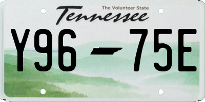 TN license plate Y9675E