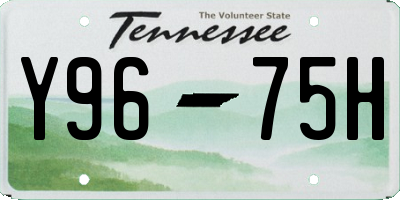 TN license plate Y9675H