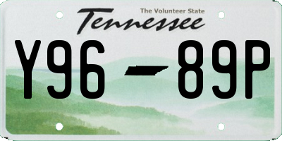 TN license plate Y9689P