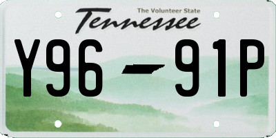 TN license plate Y9691P