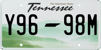 TN license plate Y9698M