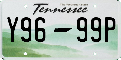 TN license plate Y9699P