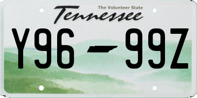 TN license plate Y9699Z