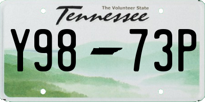 TN license plate Y9873P