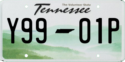 TN license plate Y9901P