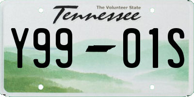 TN license plate Y9901S