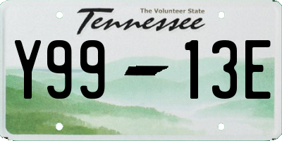 TN license plate Y9913E