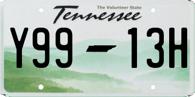 TN license plate Y9913H