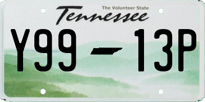 TN license plate Y9913P