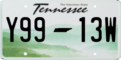 TN license plate Y9913W