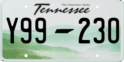 TN license plate Y9923O