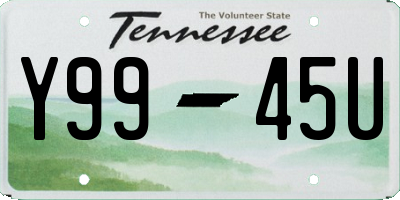 TN license plate Y9945U
