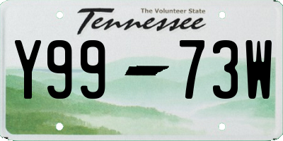 TN license plate Y9973W